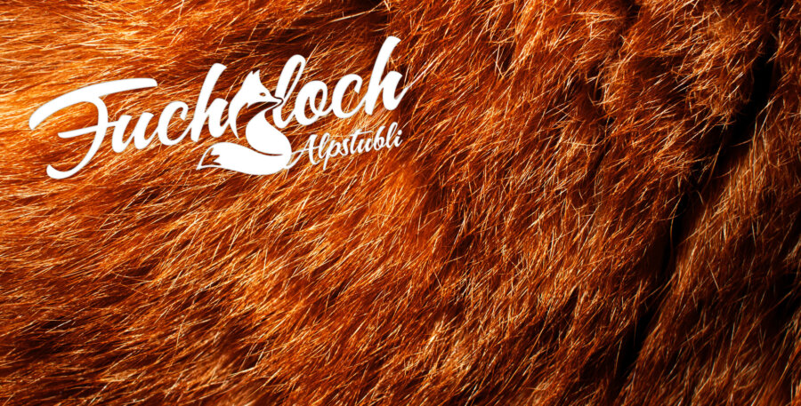 Alpstubli Winter Bar Fuchsloch Hero