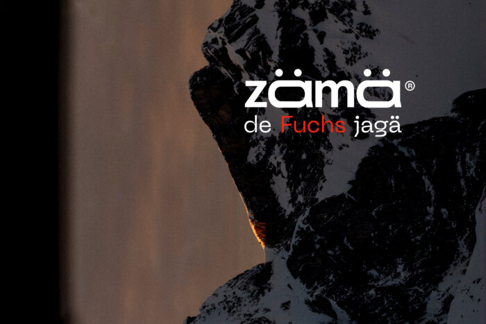 20251213 zämä de Fuchs jagä 1500x1000 Thumbnail Webseite