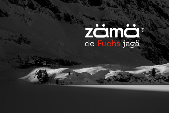 20241214 zämä de Fuchs jagä 1500x1000 Thumbnail Webseite