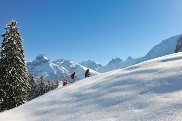 Alpstubli Winter Region Schneeschuhlaufen Gerschni Trail 02