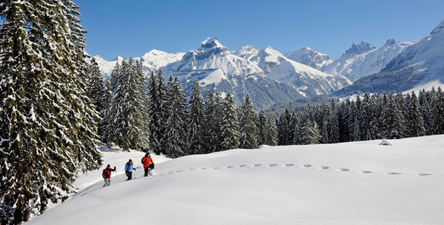 Alpstubli Winter Region Schneeschuhlaufen Gerschni Trail Hero