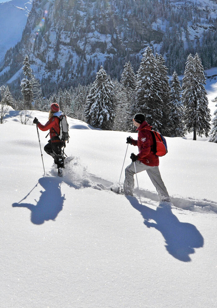 Alpstubli Winter Region Teaser Schneeschuhlaufen