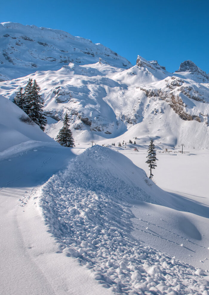 Alpstubli Winter Region Teaser Winterwandern